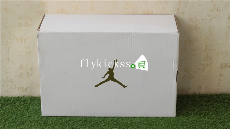 WNS Air Jordan 3 SE Particle Beige